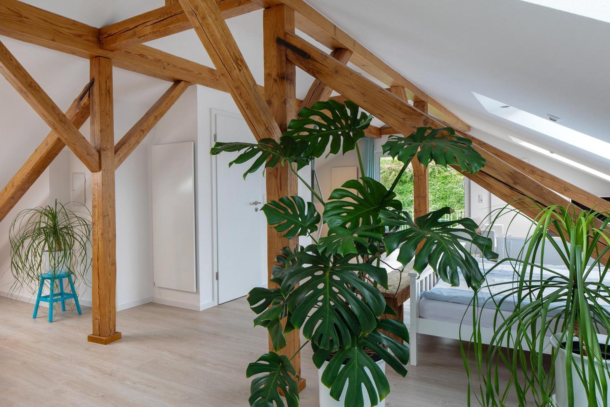 Ferienhaus Engelsberghof Endingen am Kaiserstuhl Esterno foto